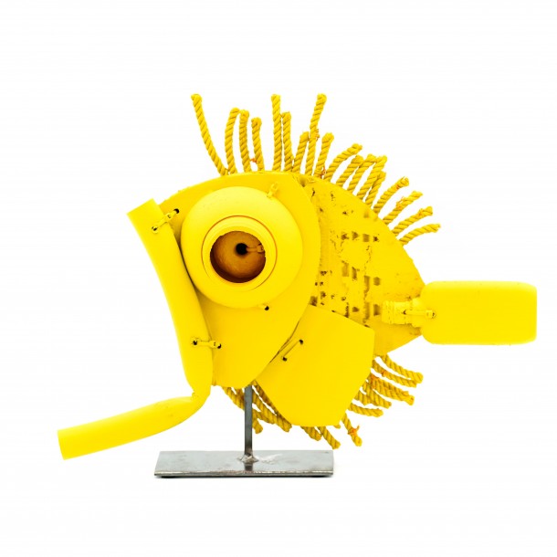 PESCIOLINO GIALLO