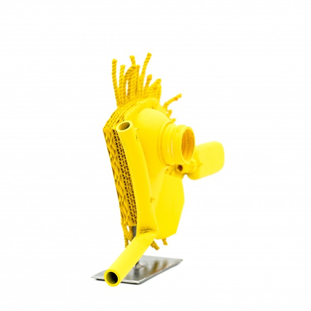 PESCIOLINO GIALLO