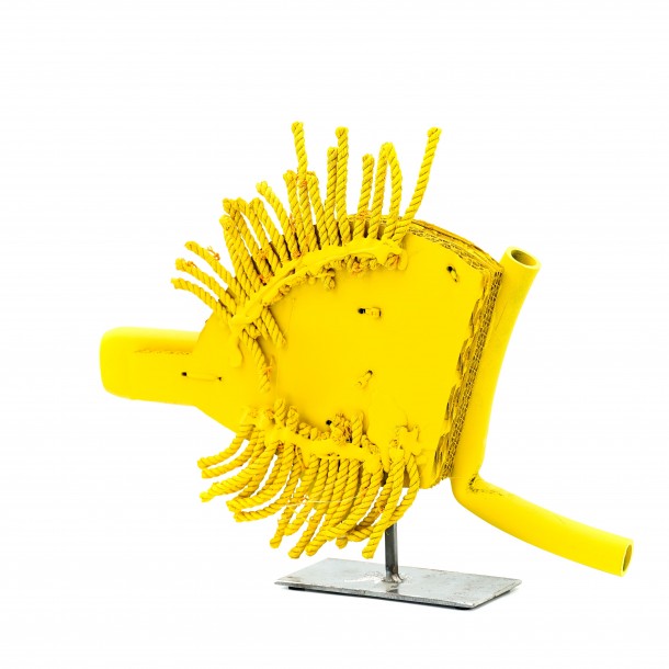 PESCIOLINO GIALLO