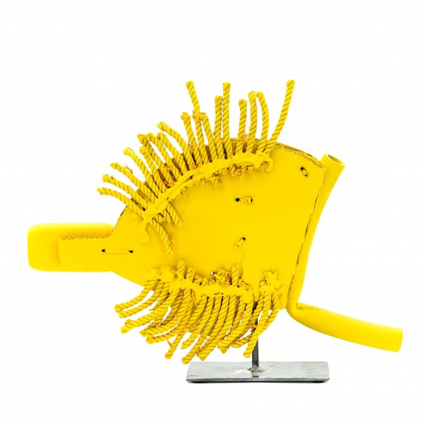 PESCIOLINO GIALLO