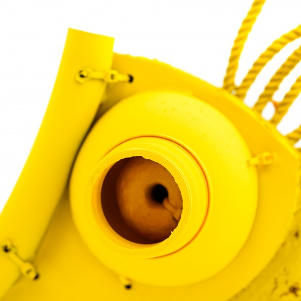 PESCIOLINO GIALLO