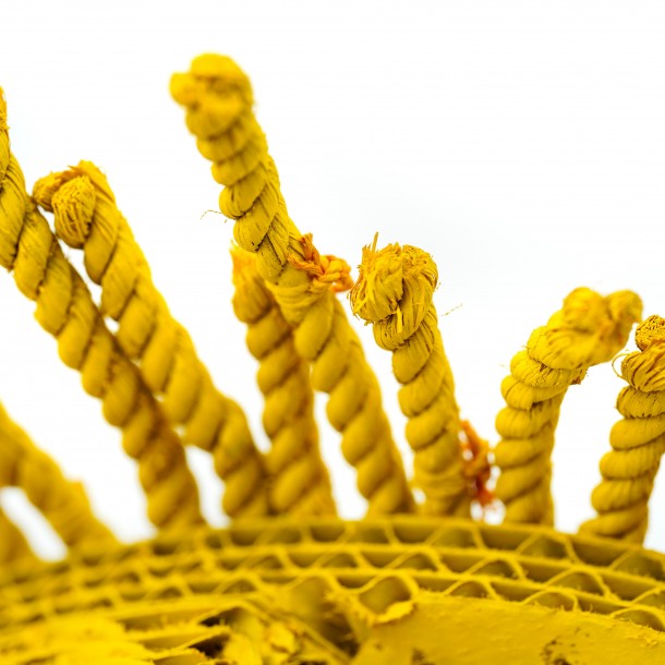 PESCIOLINO GIALLO