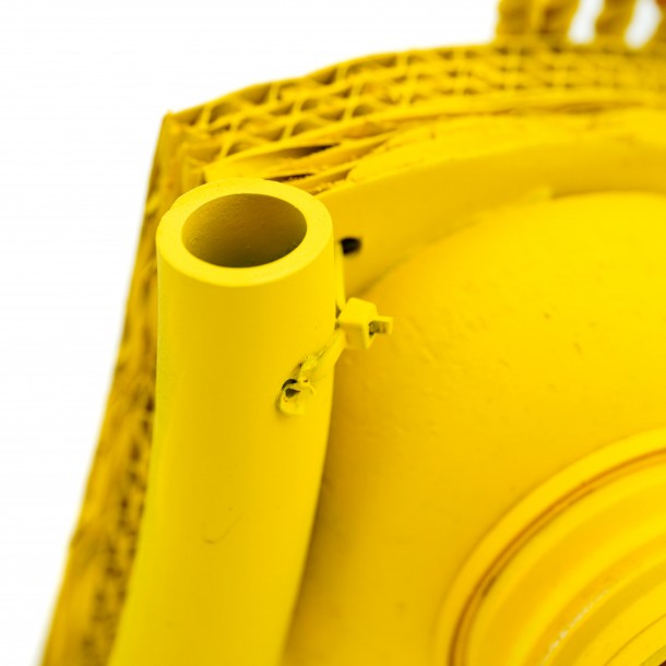 PESCIOLINO GIALLO