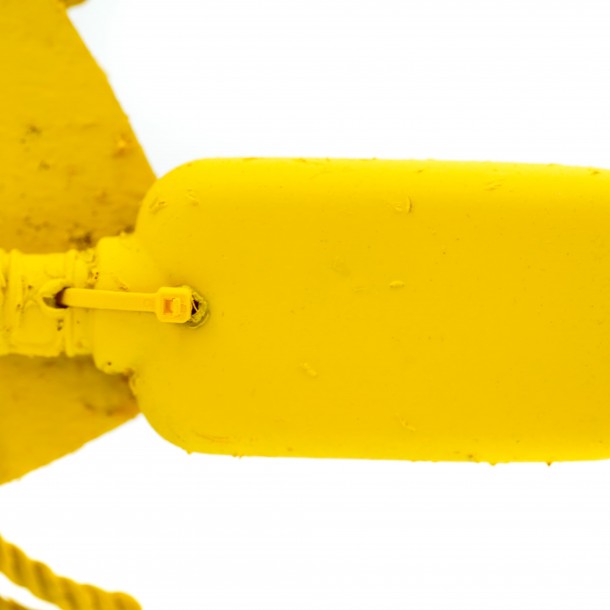PESCIOLINO GIALLO