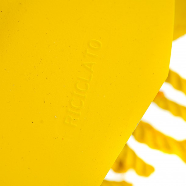 PESCIOLINO GIALLO
