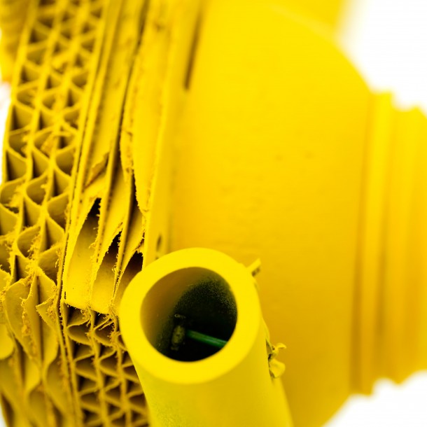 PESCIOLINO GIALLO