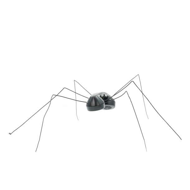 FORMICA 1