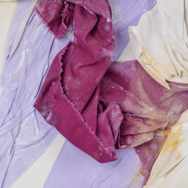 THE PURPLE AND THE VIOLET