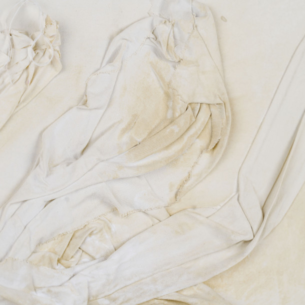 THE PURPLE AND THE VIOLET