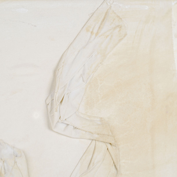 THE PURPLE AND THE VIOLET