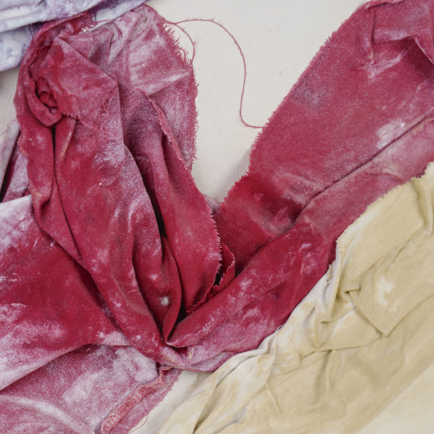 THE PURPLE AND THE VIOLET