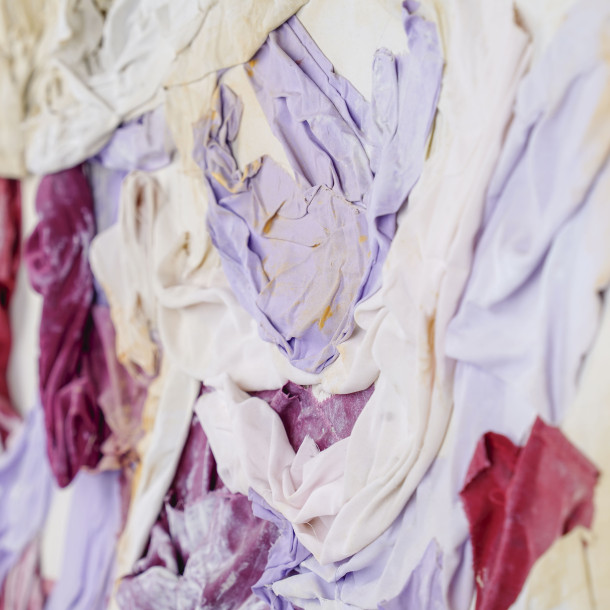 THE PURPLE AND THE VIOLET