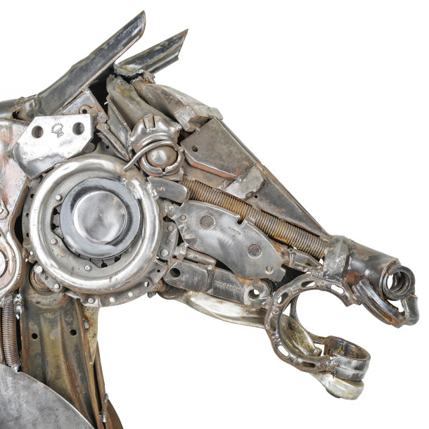 Testa di Cavallo