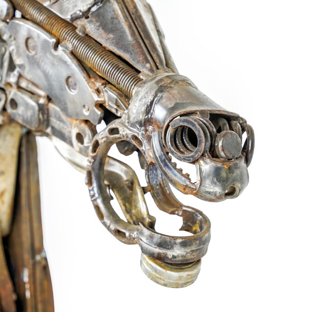 Testa di Cavallo